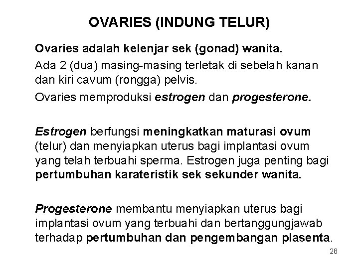 OVARIES (INDUNG TELUR) Ovaries adalah kelenjar sek (gonad) wanita. Ada 2 (dua) masing-masing terletak