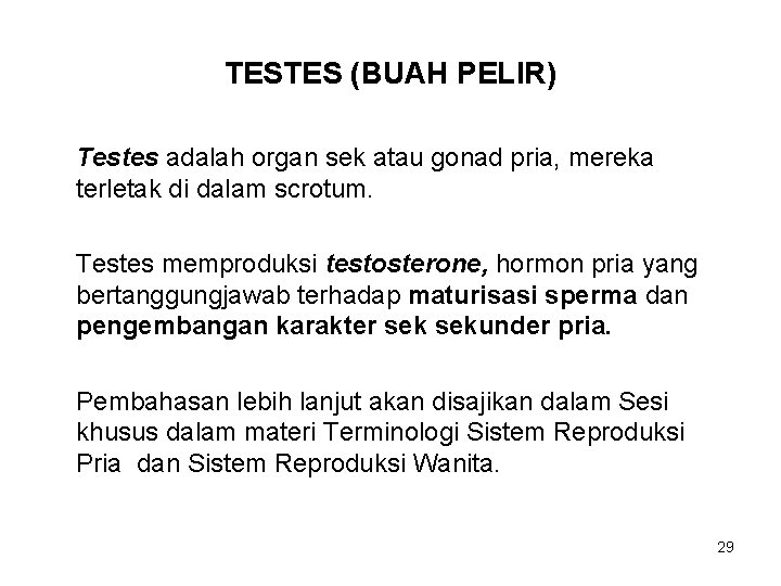 TESTES (BUAH PELIR) Testes adalah organ sek atau gonad pria, mereka terletak di dalam