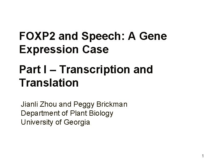 FOXP 2 and Speech: A Gene Expression Case Part I – Transcription and Translation