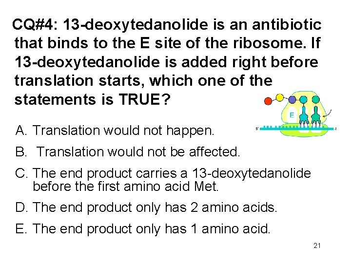 CQ#4: 13 -deoxytedanolide is an antibiotic that binds to the E site of the