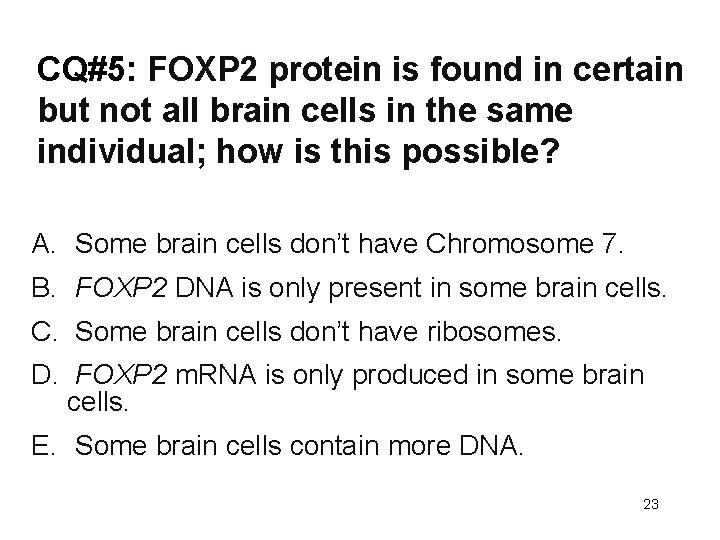 CQ#5: FOXP 2 protein is found in certain but not all brain cells in