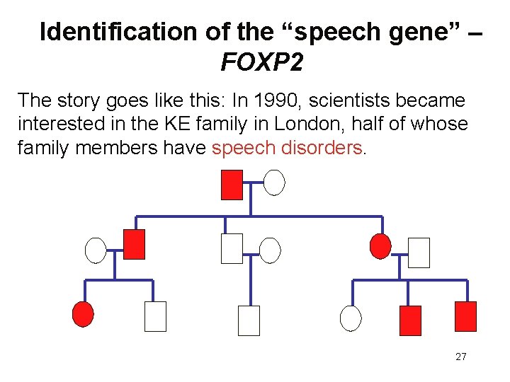 Identification of the “speech gene” – FOXP 2 The story goes like this: In