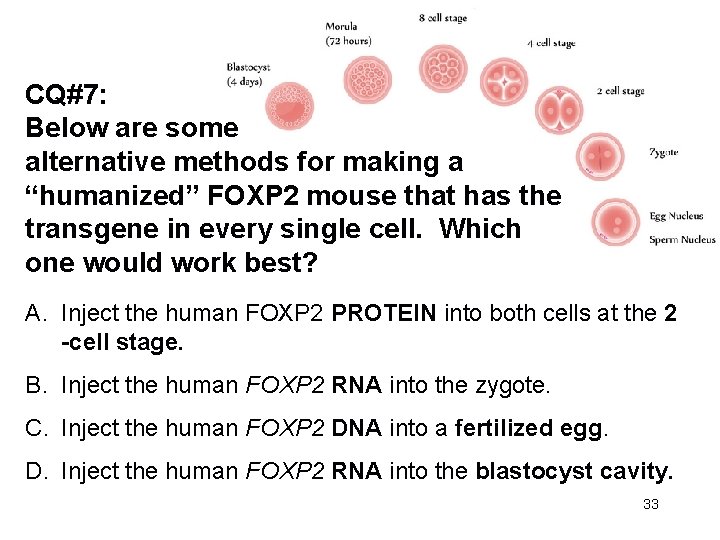 CQ#7: Below are some alternative methods for making a “humanized” FOXP 2 mouse that