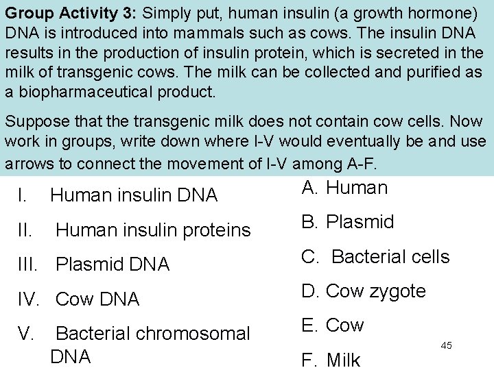 Group Activity 3: Simply put, human insulin (a growth hormone) DNA is introduced into