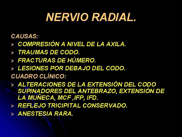 NERVIO RADIAL. CAUSAS: Ø COMPRESIÓN A NIVEL DE LA AXILA. Ø TRAUMAS DE CODO.