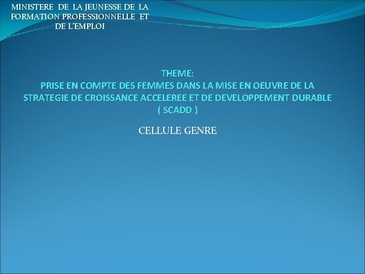 MINISTERE DE LA JEUNESSE DE LA FORMATION PROFESSIONNELLE ET DE L’EMPLOI THEME: PRISE EN