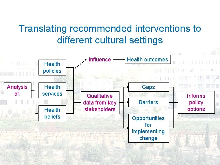 Situation analysis (1) Translating recommended interventions to different cultural settings Health policies Analysis of: