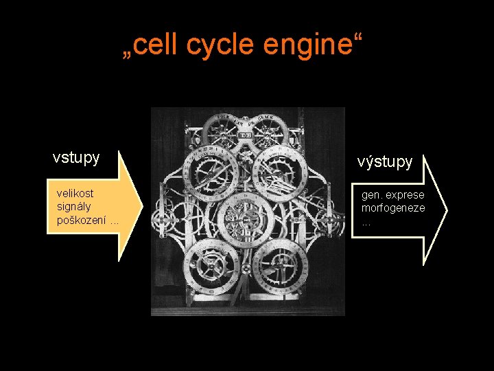 „cell cycle engine“ vstupy velikost signály poškození. . . výstupy gen. exprese morfogeneze. .