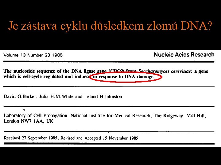 Je zástava cyklu důsledkem zlomů DNA? 