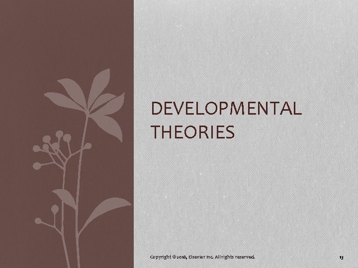 DEVELOPMENTAL THEORIES Copyright © 2018, Elsevier Inc. All rights reserved. 13 