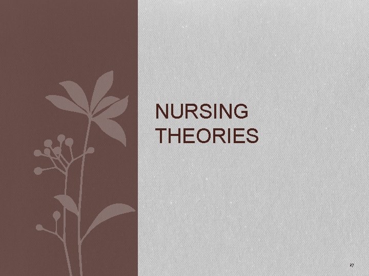 NURSING THEORIES 27 