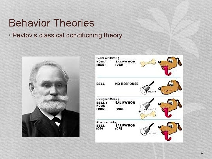 Behavior Theories • Pavlov’s classical conditioning theory 37 