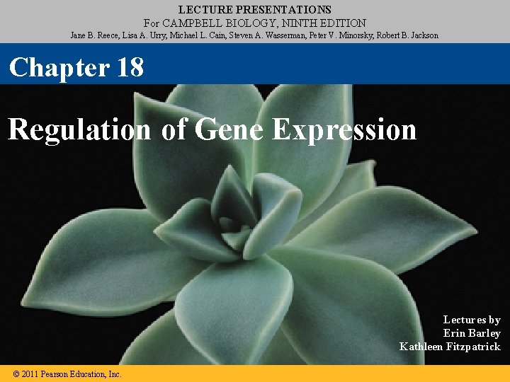 LECTURE PRESENTATIONS For CAMPBELL BIOLOGY, NINTH EDITION Jane B. Reece, Lisa A. Urry, Michael