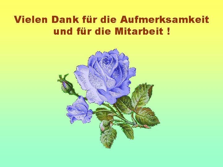 Vielen Dank für die Aufmerksamkeit und für die Mitarbeit ! 