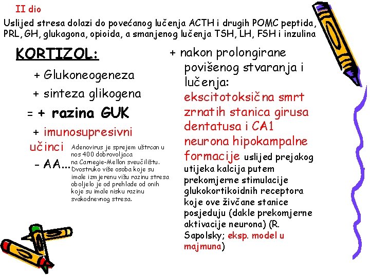 II dio Uslijed stresa dolazi do povećanog lučenja ACTH i drugih POMC peptida, PRL, II dio Uslijed stresa dolazi do povećanog lučenja ACTH i drugih POMC peptida, PRL,