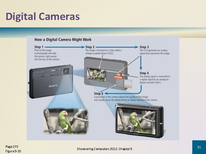 Digital Cameras Page 272 Figure 5 -20 Discovering Computers 2012: Chapter 5 21 