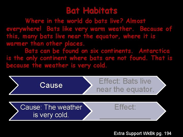 Bat Habitats Where in the world do bats live? Almost everywhere! Bats like very