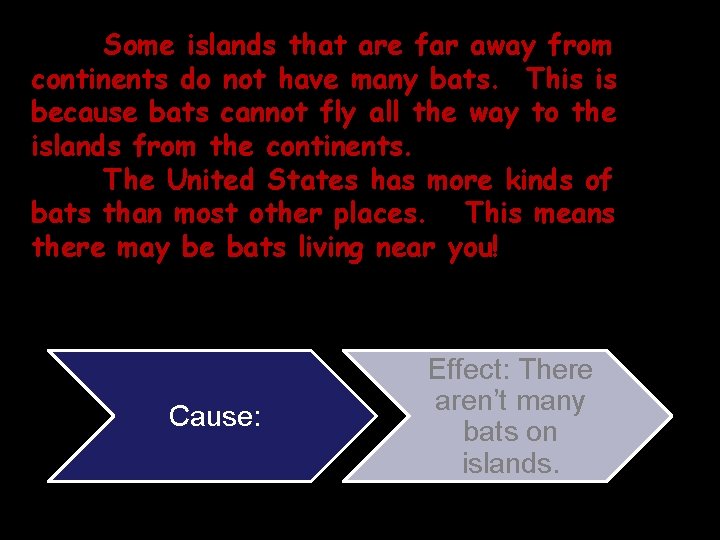 Some islands that are far away from continents do not have many bats. This