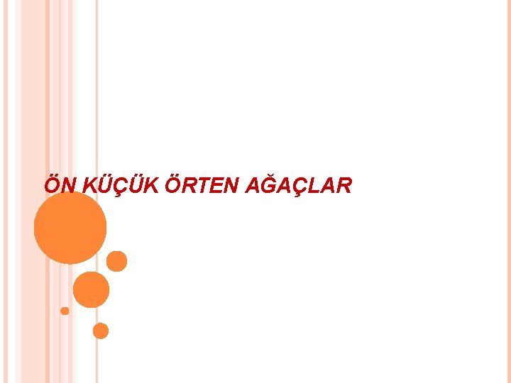 ÖN KÜÇÜK ÖRTEN AĞAÇLAR 