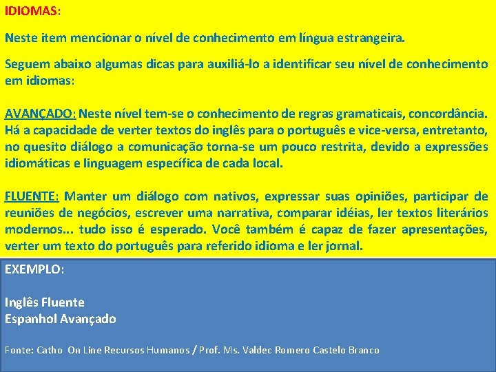 IDIOMAS: Neste item mencionar o nível de conhecimento em língua estrangeira. Seguem abaixo algumas