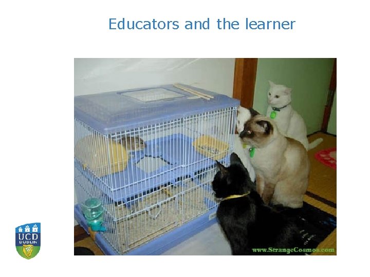 Educators and the learner 