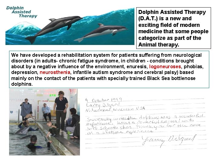 Dolphin Assisted Therapy (D. A. T. ) is a new and exciting field of