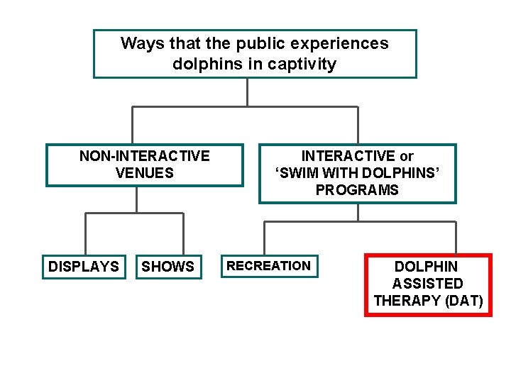 Ways that the public experiences dolphins in captivity NON-INTERACTIVE VENUES DISPLAYS SHOWS INTERACTIVE or