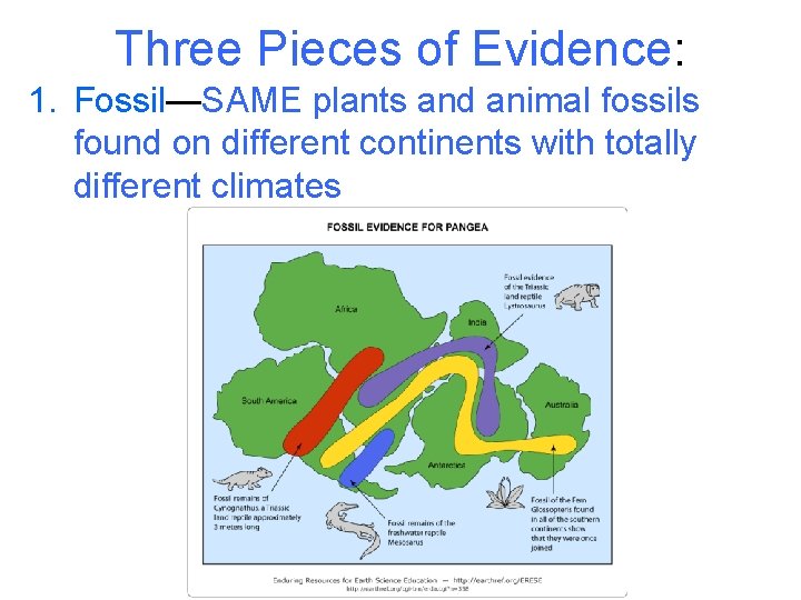 Three Pieces of Evidence: 1. Fossil—SAME plants and animal fossils found on different continents