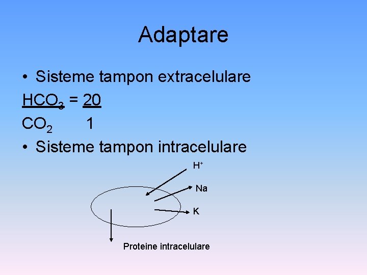 Adaptare • Sisteme tampon extracelulare HCO 3 = 20 CO 2 1 • Sisteme