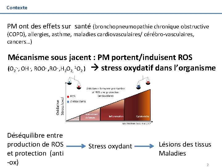 Contexte PM ont des effets sur santé (bronchopneumopathie chronique obstructive (COPD), allergies, asthme, maladies