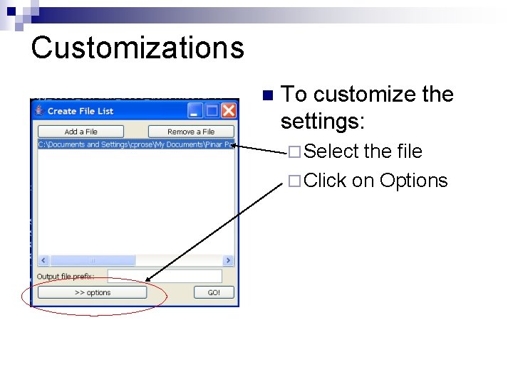 Customizations n To customize the settings: ¨ Select the file ¨ Click on Options