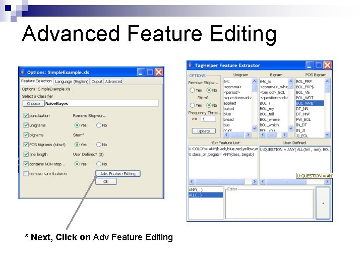 Advanced Feature Editing * Next, Click on Adv Feature Editing 