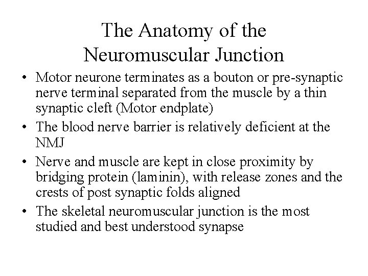 The Anatomy of the Neuromuscular Junction • Motor neurone terminates as a bouton or