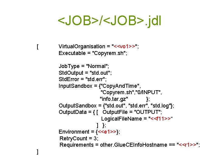 <JOB>/<JOB>. jdl [ Virtual. Organisation = "<<vo 1>>"; Executable = "Copyrem. sh"; Job. Type