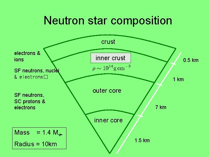 Neutron star composition crust electrons & ions inner crust 0. 5 km SF neutrons, Neutron star composition crust electrons & ions inner crust 0. 5 km SF neutrons,