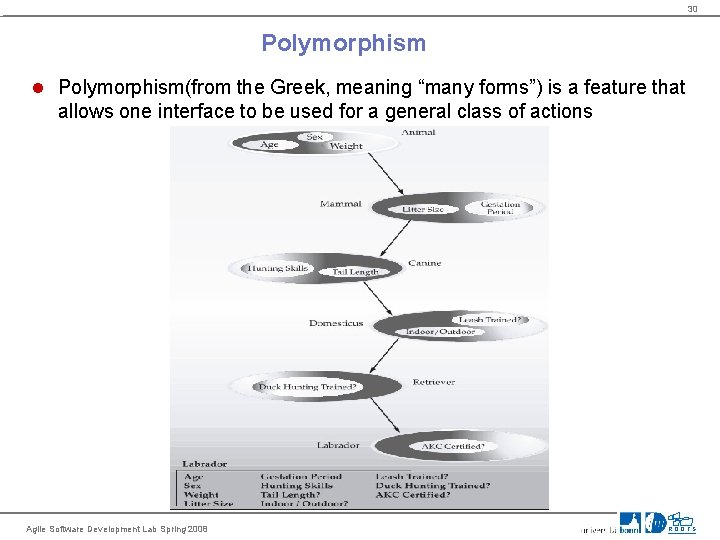 30 Polymorphism(from the Greek, meaning “many forms”) is a feature that allows one interface