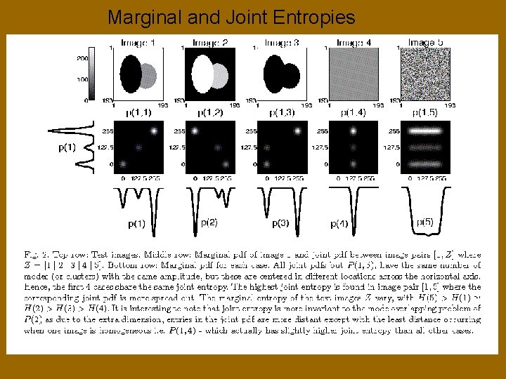 Marginal and Joint Entropies 