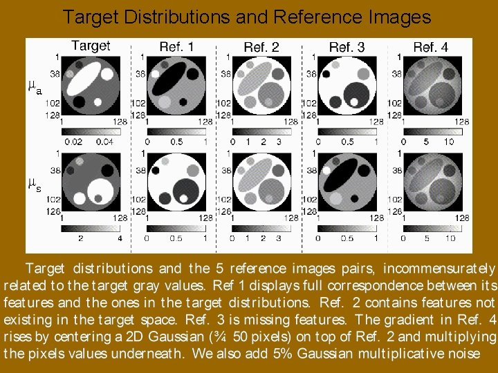 Target Distributions and Reference Images 