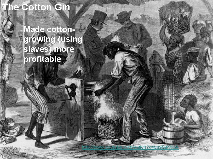 The Cotton Gin Made cottongrowing (using slaves) more profitable http: //www. youtube. com/watch? v=bns