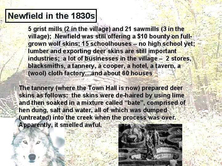 Newfield in the 1830 s 5 grist mills (2 in the village) and 21