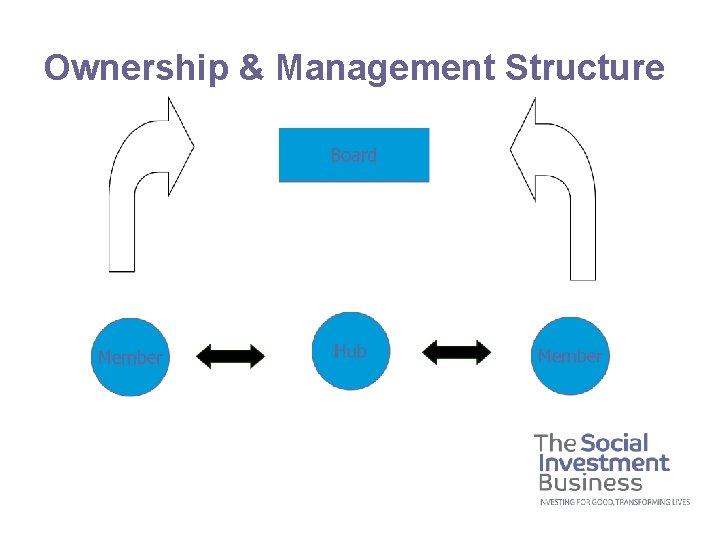 Ownership & Management Structure 