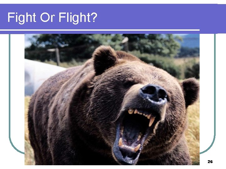 Fight Or Flight? A. Pencer October 2012 26 