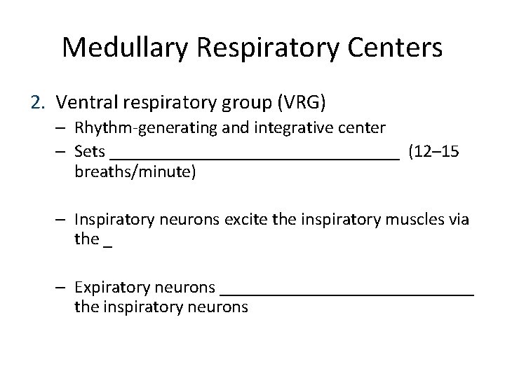 Medullary Respiratory Centers 2. Ventral respiratory group (VRG) – Rhythm-generating and integrative center –
