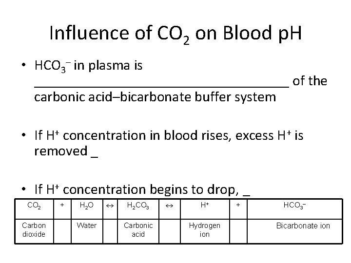Influence of CO 2 on Blood p. H • HCO 3– in plasma is