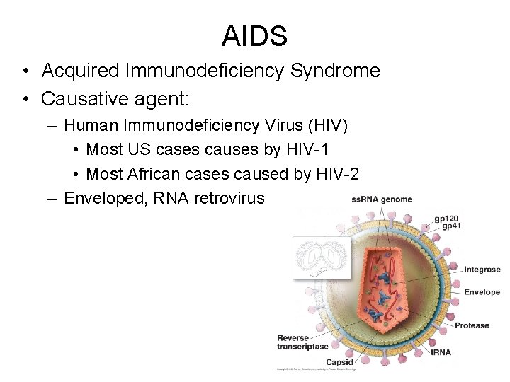 AIDS • Acquired Immunodeficiency Syndrome • Causative agent: – Human Immunodeficiency Virus (HIV) •