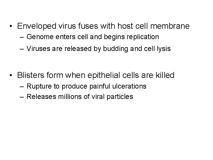  • Enveloped virus fuses with host cell membrane – Genome enters cell and
