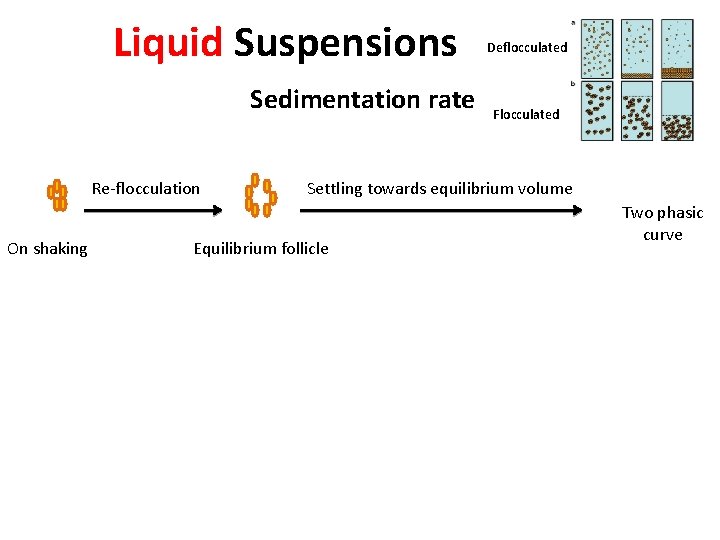 Liquid Suspensions Sedimentation rate Re-flocculation On shaking Deflocculated Flocculated Settling towards equilibrium volume Equilibrium