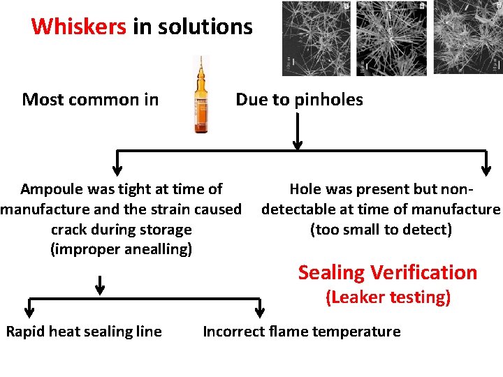 Whiskers in solutions Most common in Due to pinholes Ampoule was tight at time