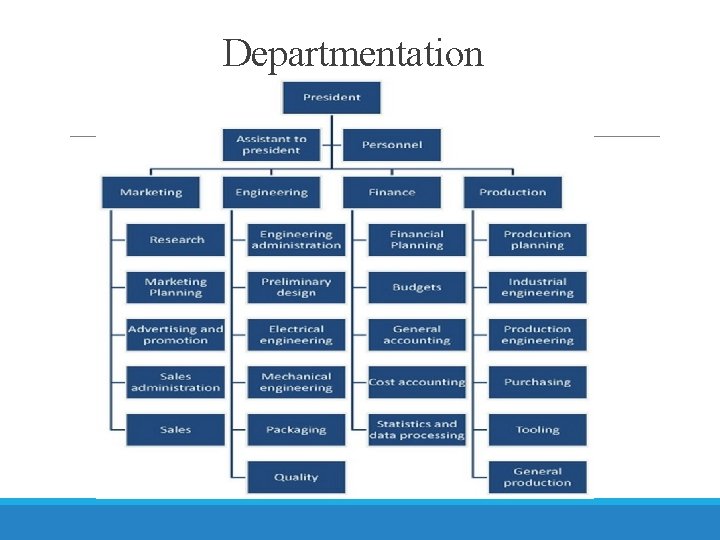 Departmentation 