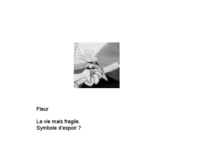 Fleur La vie mais fragile. Symbole d’espoir ? 